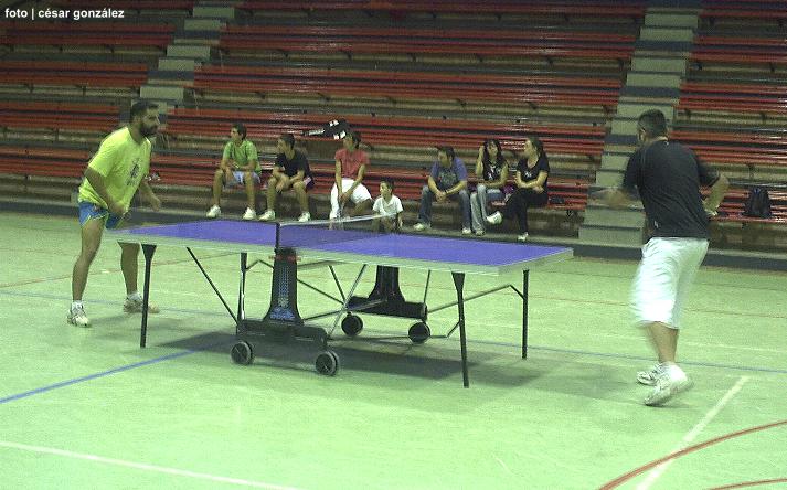 foto de los novillos